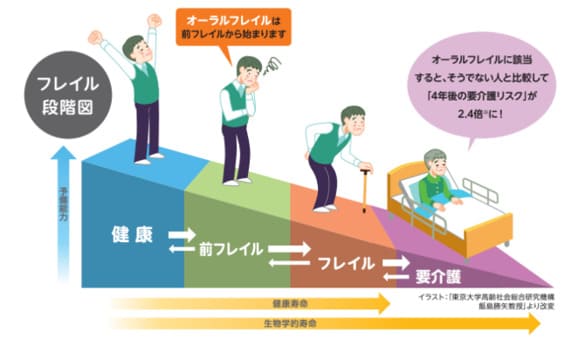 オーラルフレイル段階図